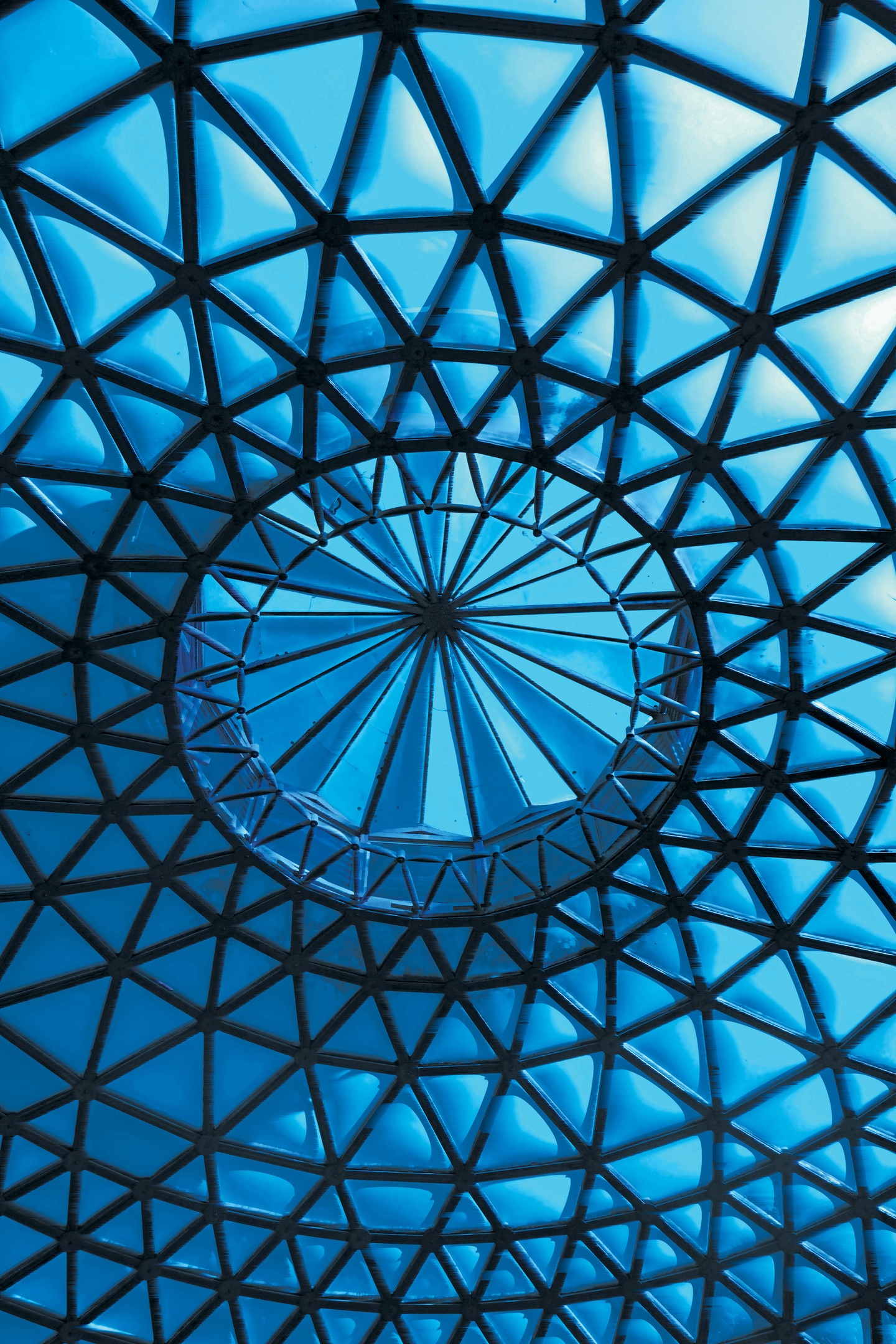 Interior of roof of tropical dome